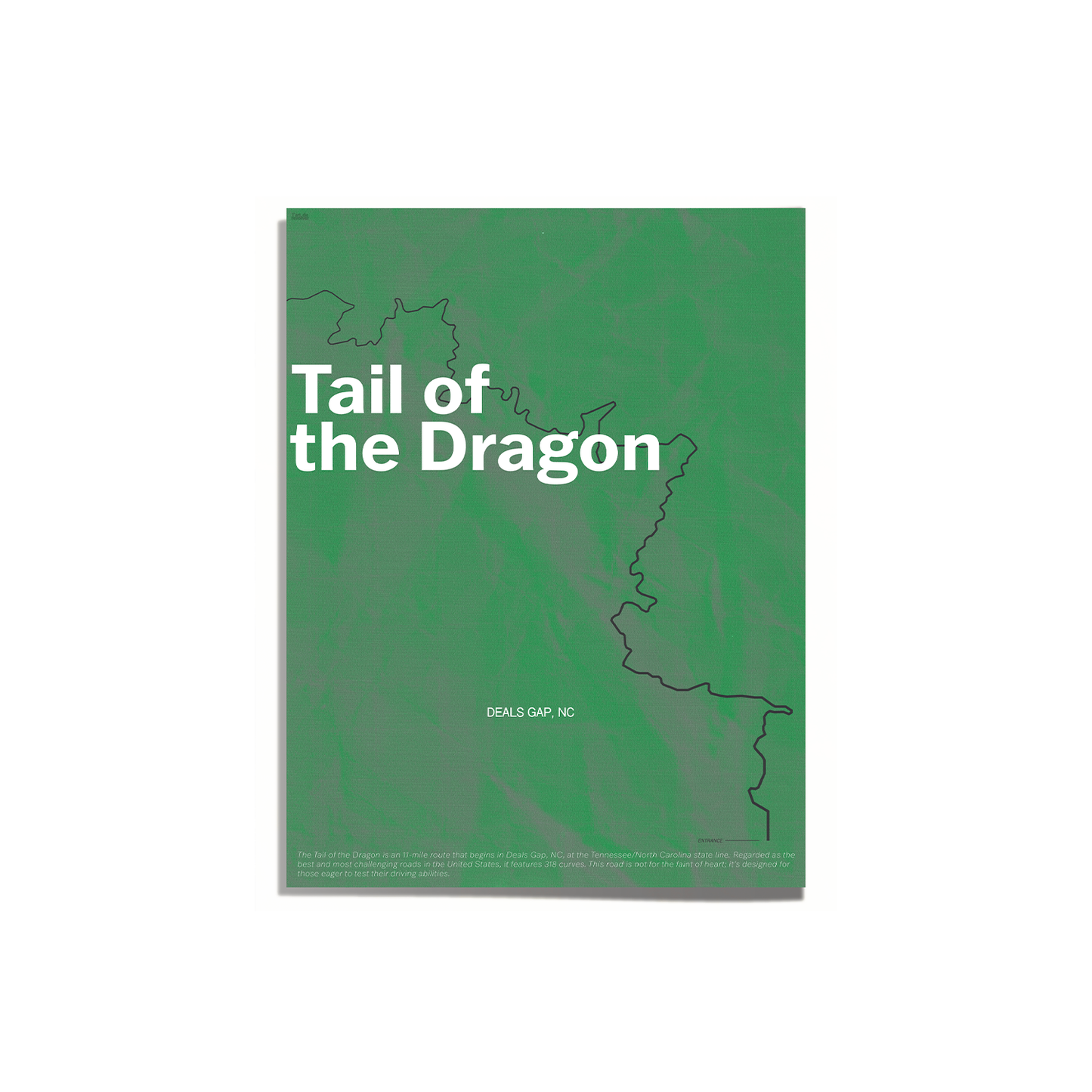 "TAIL OF THE DRAGON" PRINT