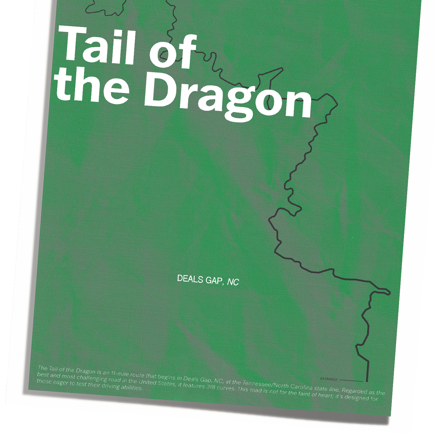 "TAIL OF THE DRAGON" PRINT